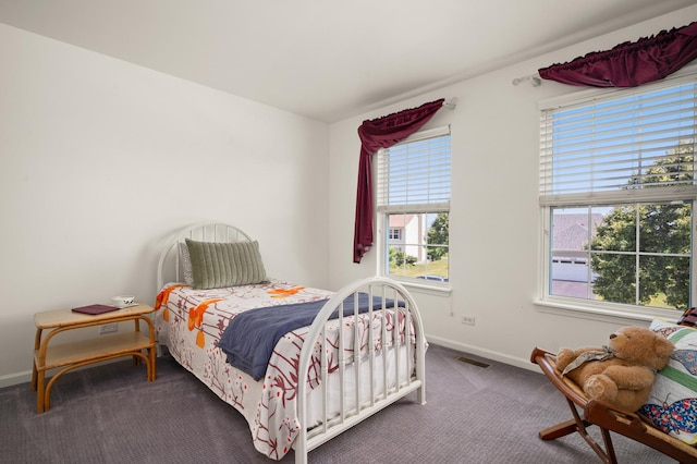 1639 Brower Pl, Sycamore, IL 60178 - bedroom with carpet and multiple windows
