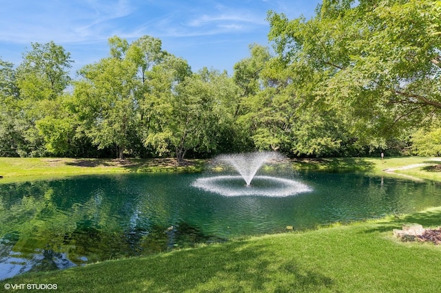 3521 Park Pl, Flossmoor, IL 60422 - water view