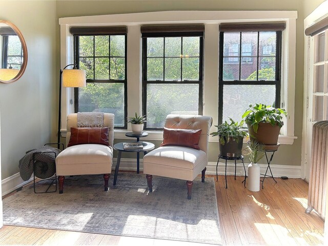 629 Garfield St Unit 1N, Oak Park, IL 60304 - view of sunroom