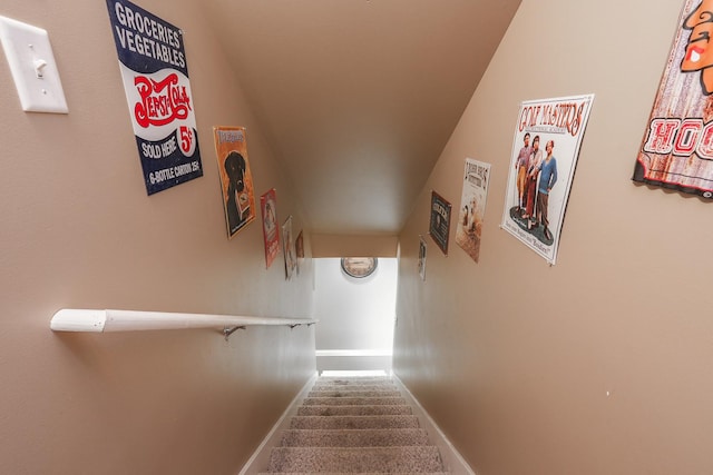 236 Marquette Pl S, Manteno, IL 60950 - stairs featuring carpet flooring and baseboards