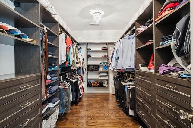 924 Linden Ave, Wilmette, IL 60091 - walk in closet with dark wood-style flooring