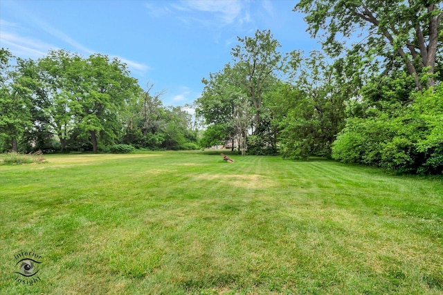 3830 W 154th Pl, Markham, IL 60428 - view of grassy yard featuring view of wooded area