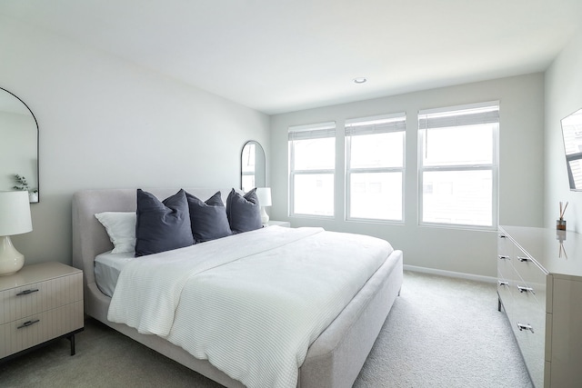 3551 Kemper Dr, Woodridge, IL 60517 - bedroom featuring light colored carpet and baseboards