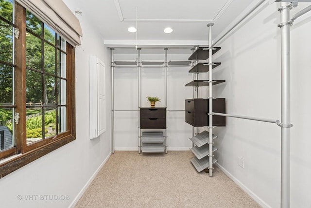 4816 Hickory Way, Johnsburg, IL 60051 - spacious closet with carpet and attic access