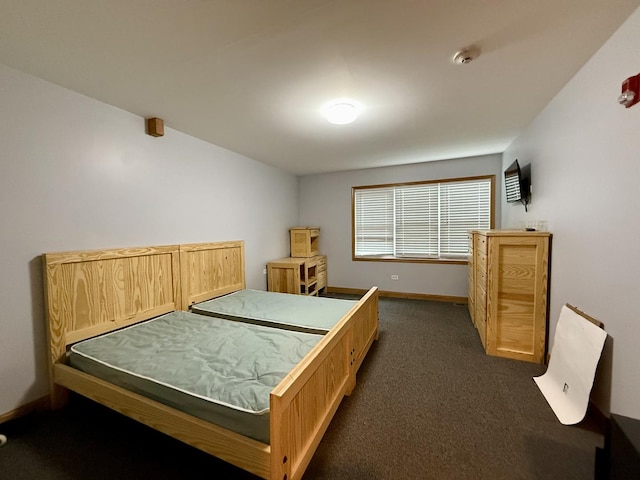 14401 Pulaski Rd, Midlothian, IL 60445 - bedroom with dark colored carpet and baseboards