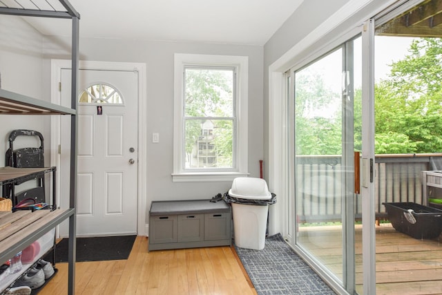 4220 S Champlain Ave Unit 2N, Chicago, IL 60653 - entryway with light wood finished floors