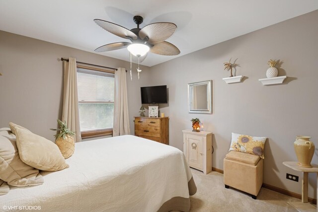 1700 Wicker St, Woodstock, IL 60098 - photo 10