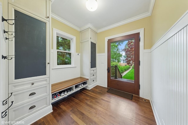 1419 Judson Ave, Evanston, IL 60201 - mudroom featuring dark wood-style floors, plenty of natural light, ornamental molding, a wainscoted wall, and a decorative wall