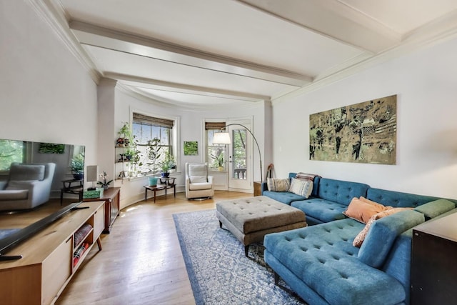 5502 S Hyde Park Blvd Unit 2, Chicago, IL 60637 - living area featuring beam ceiling, crown molding, and wood finished floors