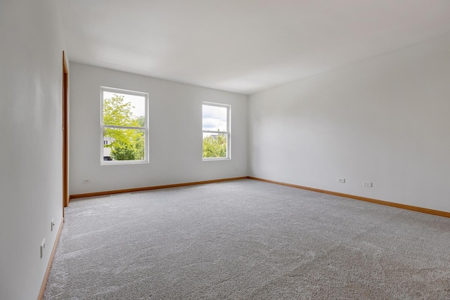 838 Valley Stream Dr, Pingree Grove, IL 60140 - unfurnished room with carpet and baseboards