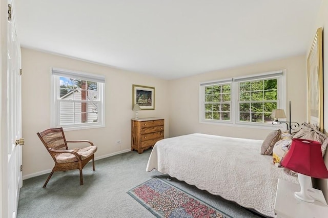 2810 Beckwith Ct, Northbrook, IL 60062 - carpeted bedroom featuring multiple windows