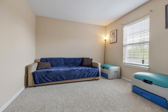 1929 Diamond Head Trl, Pingree Grove, IL 60140 - living area featuring carpet floors and baseboards