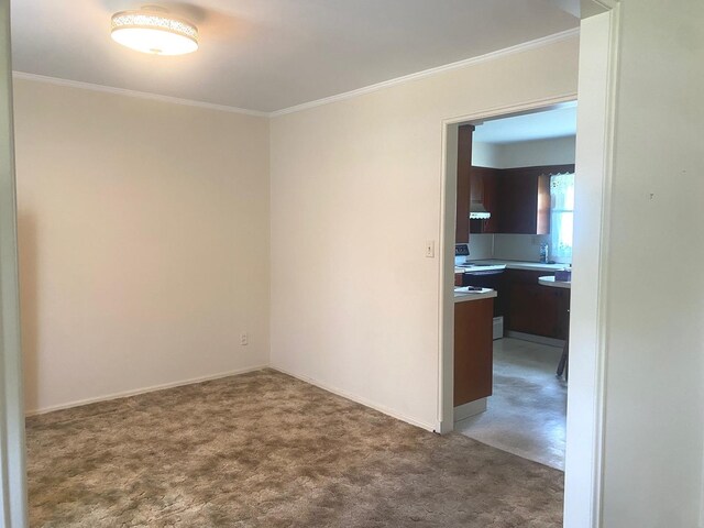 1415 Lakewood Dr, Mendota, IL 61342 - carpeted spare room with ornamental molding and baseboards