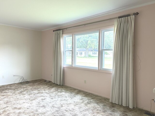 1415 Lakewood Dr, Mendota, IL 61342 - empty room with crown molding and carpet