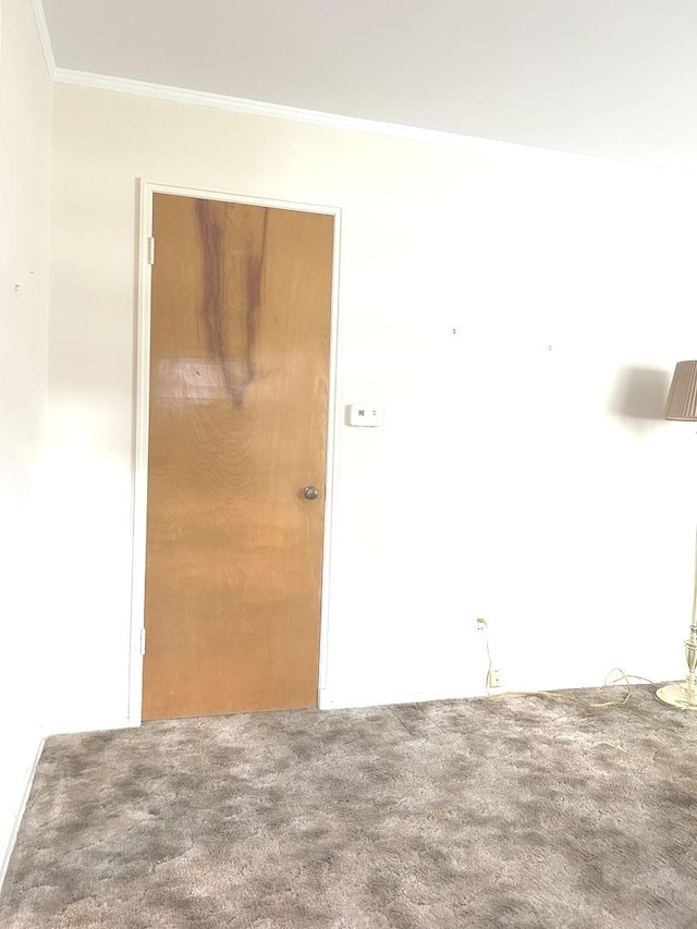 1415 Lakewood Dr, Mendota, IL 61342 - carpeted empty room with ornamental molding
