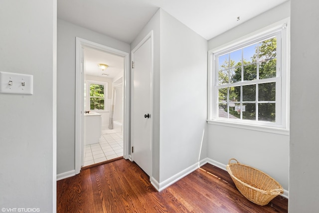 220 E Elm St, Wheaton, IL 60189 - corridor with plenty of natural light and wood finished floors