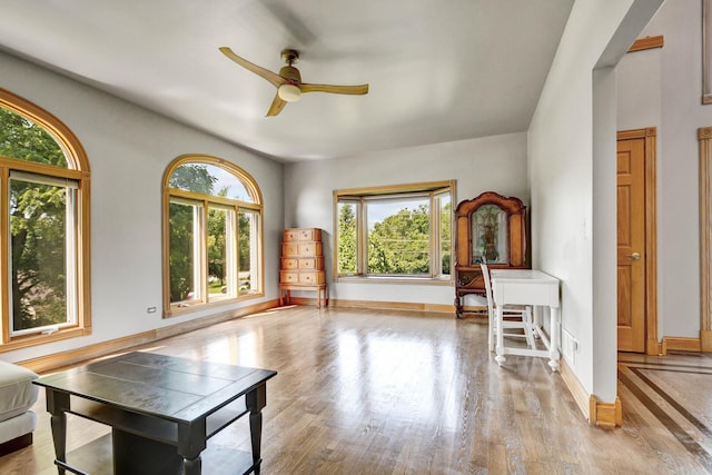 1383 Gordon Ln, Lemont, IL 60439 - living area featuring ceiling fan and light wood finished floors