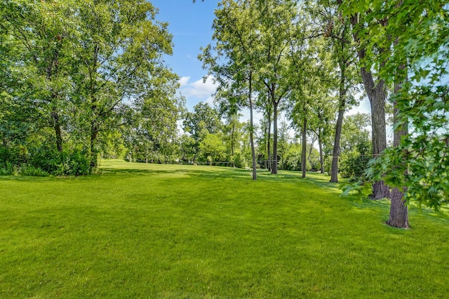 1383 Gordon Ln, Lemont, IL 60439 - view of green lawn