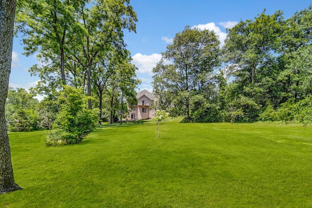1383 Gordon Ln, Lemont, IL 60439 - view of green lawn