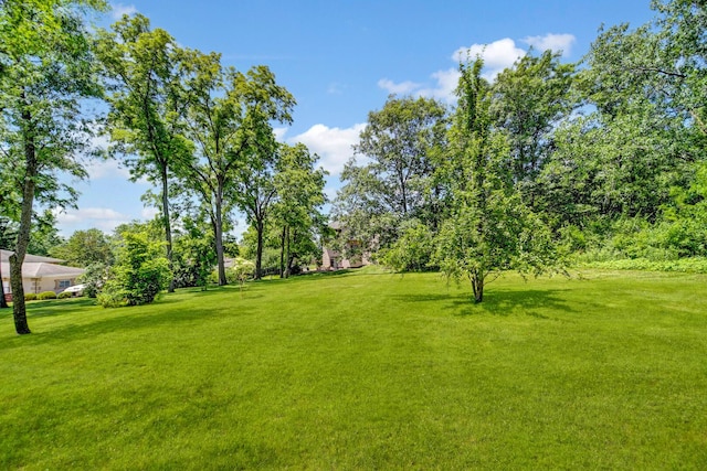1383 Gordon Ln, Lemont, IL 60439 - view of grassy yard