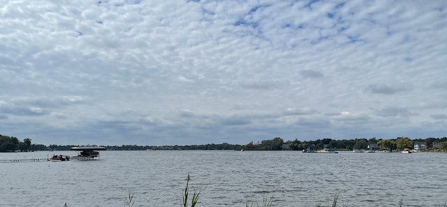 709 Lake Shore Dr, Wauconda, IL 60084 - photo 16