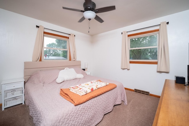 14194 Kennedy Dr, South Beloit, IL 61080 - bedroom with carpet flooring and ceiling fan