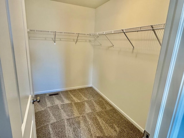 1389 Clifton Ave, Beecher, IL 60401 - walk in closet with carpet flooring