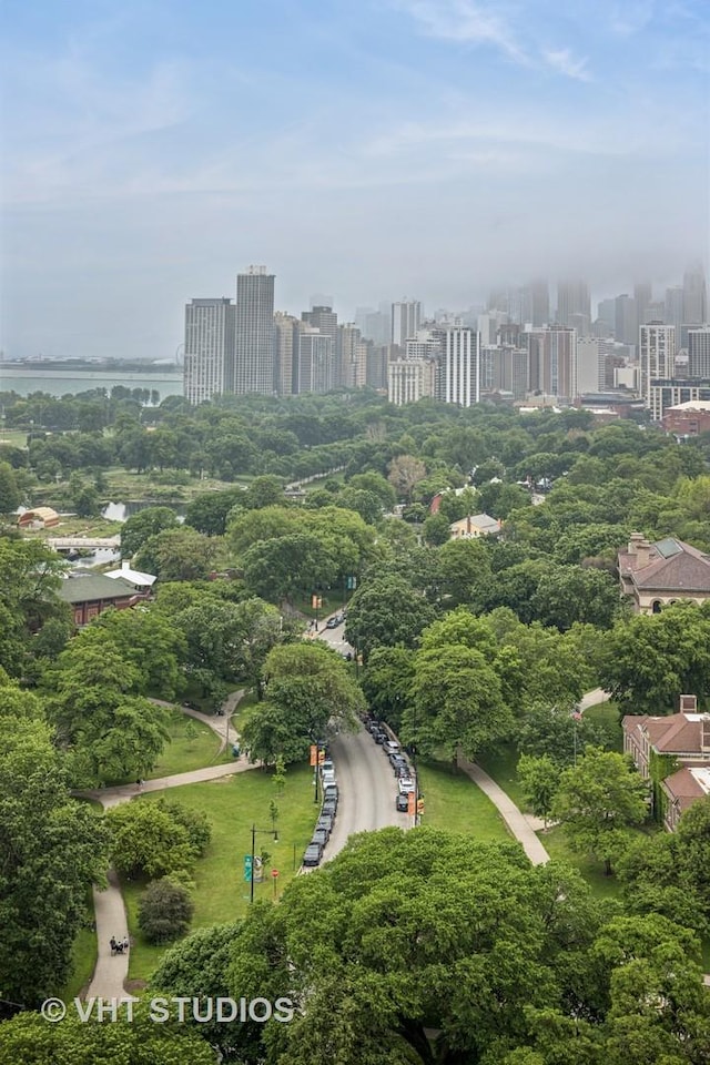 2144 N Lincoln Park W Unit 23B, Chicago, IL 60614 - aerial view of city skyline