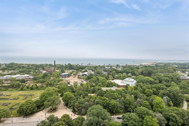 2144 N Lincoln Park W Unit 23B, Chicago, IL 60614 - bird's eye view of a tree filled landscape and a nearby body of water