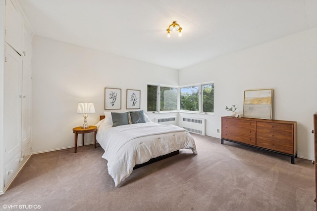 761 Revere Rd, Glen Ellyn, IL 60137 - bedroom featuring radiator and carpet