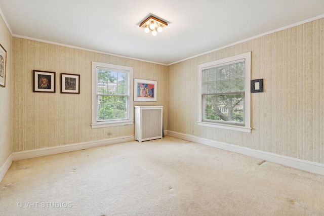 822 Clinton Pl, Evanston, IL 60201 - spare room with crown molding and carpet flooring