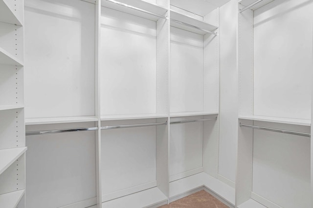 17035 Clover Dr, Orland Park, IL 60467 - view of walk in closet