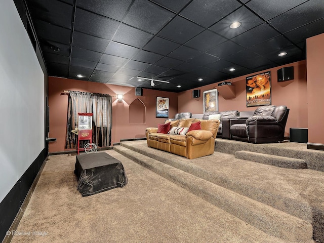 22 Yorkshire Woods, Oak Brook, IL 60523 - carpeted cinema with a drop ceiling