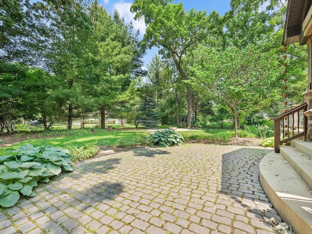 22 Yorkshire Woods, Oak Brook, IL 60523 - view of patio with view of wooded area