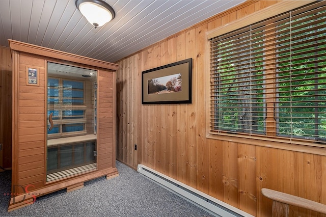 524 E Van Buren St, Ottawa, IL 61350 - relaxing sauna featuring carpet and wooden walls