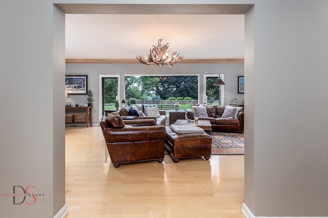 524 E Van Buren St, Ottawa, IL 61350 - living room with light wood-type flooring, a chandelier, and crown molding