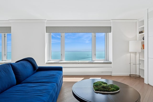 132 E Delaware Pl Unit 5504, Chicago, IL 60611 - living area featuring wood finished floors