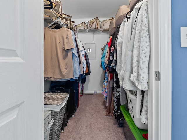 1597 Plum Tree Ln, Aurora, IL 60504 - spacious closet featuring carpet floors