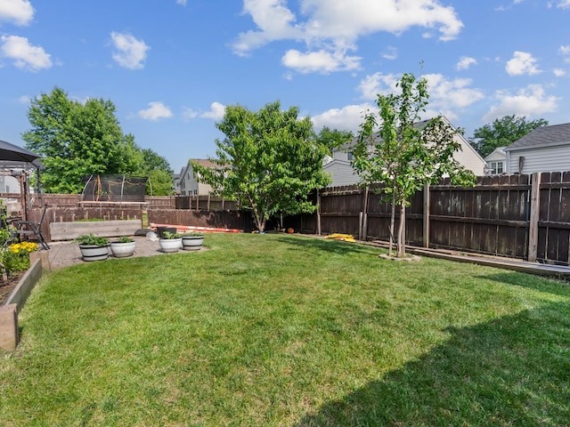 1597 Plum Tree Ln, Aurora, IL 60504 - fenced backyard featuring a garden