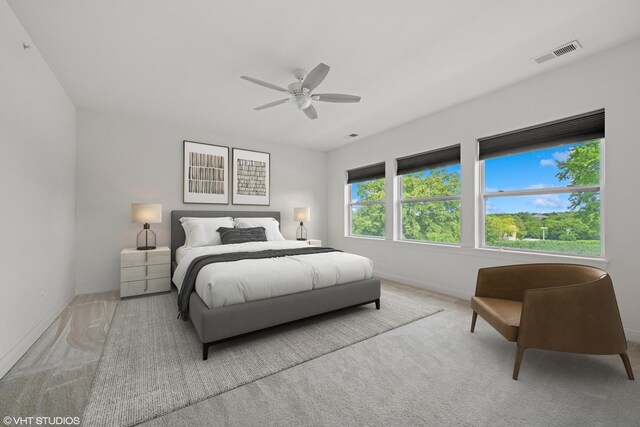 1434 Somerset Pl, Barrington, IL 60010 - bedroom featuring carpet floors and a ceiling fan