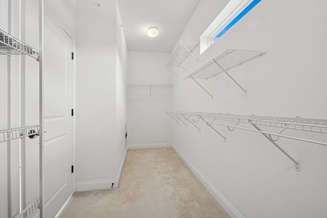 1434 Somerset Pl, Barrington, IL 60010 - spacious closet featuring light carpet
