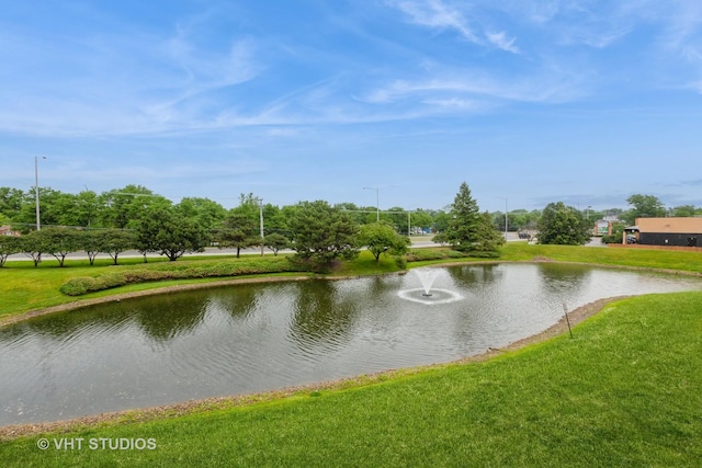 1190 Harbor Ct Unit 1190, Glendale Heights, IL 60139 - water view