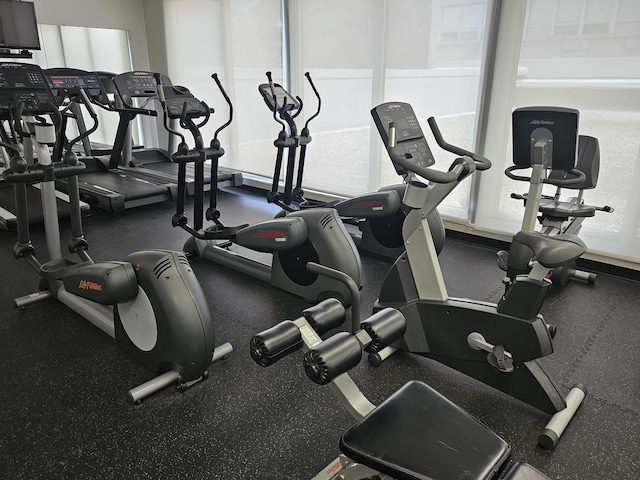 4800 S Chicago Beach Dr Unit 910N, Chicago, IL 60615 - view of workout area