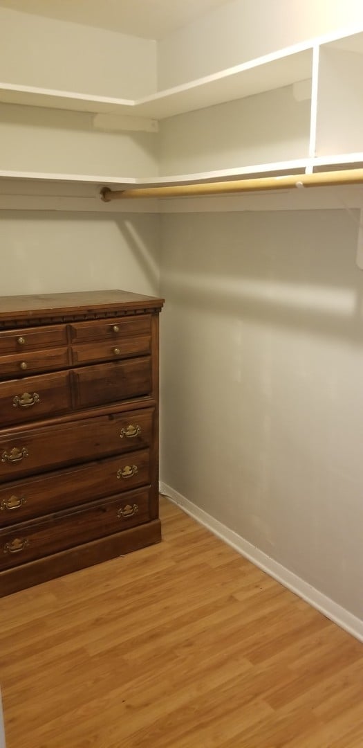 6300 N Sheridan Rd Unit 107, Chicago, IL 60660 - spacious closet featuring light wood-style flooring