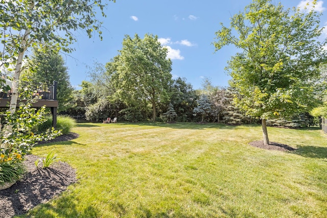 18032 S Mccabe Ln, Lockport, IL 60441 - photo 33