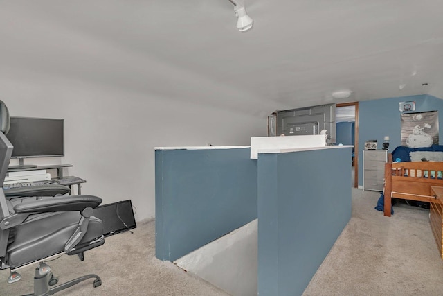 31330 S Seltzer Rd, Wilmington, IL 60481 - office featuring light colored carpet and lofted ceiling