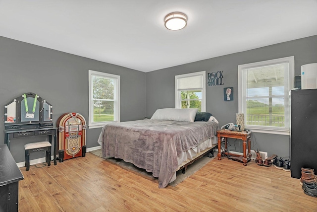 31330 S Seltzer Rd, Wilmington, IL 60481 - bedroom with wood finished floors and multiple windows