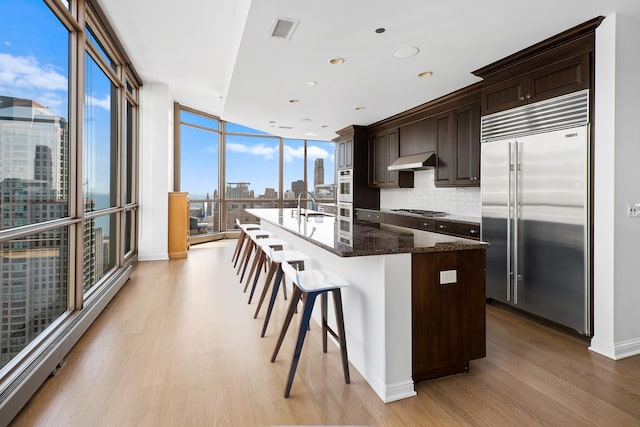 21 E Huron St Unit 4701, Chicago, IL 60611 - kitchen with appliances with stainless steel finishes, under cabinet range hood, light wood-type flooring, an island with sink, and floor to ceiling windows