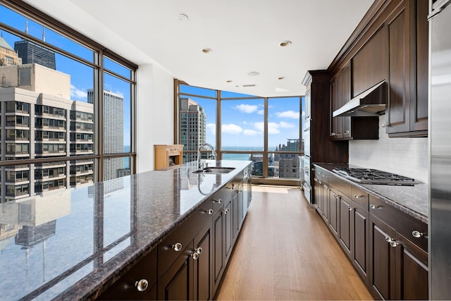 21 E Huron St Unit 4701, Chicago, IL 60611 - kitchen featuring under cabinet range hood, a view of city, oven, light wood-type flooring, and expansive windows