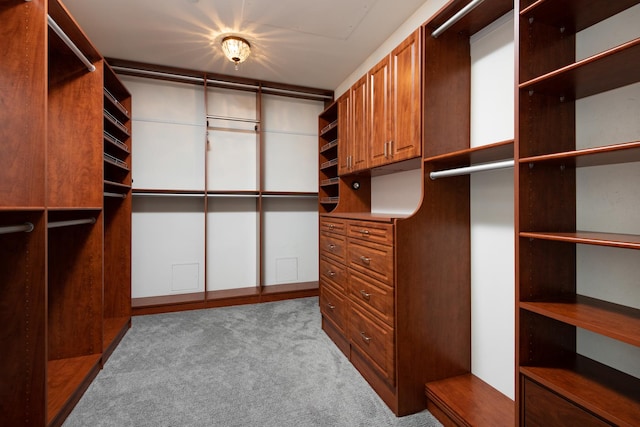 21 E Huron St Unit 4701, Chicago, IL 60611 - walk in closet featuring carpet flooring